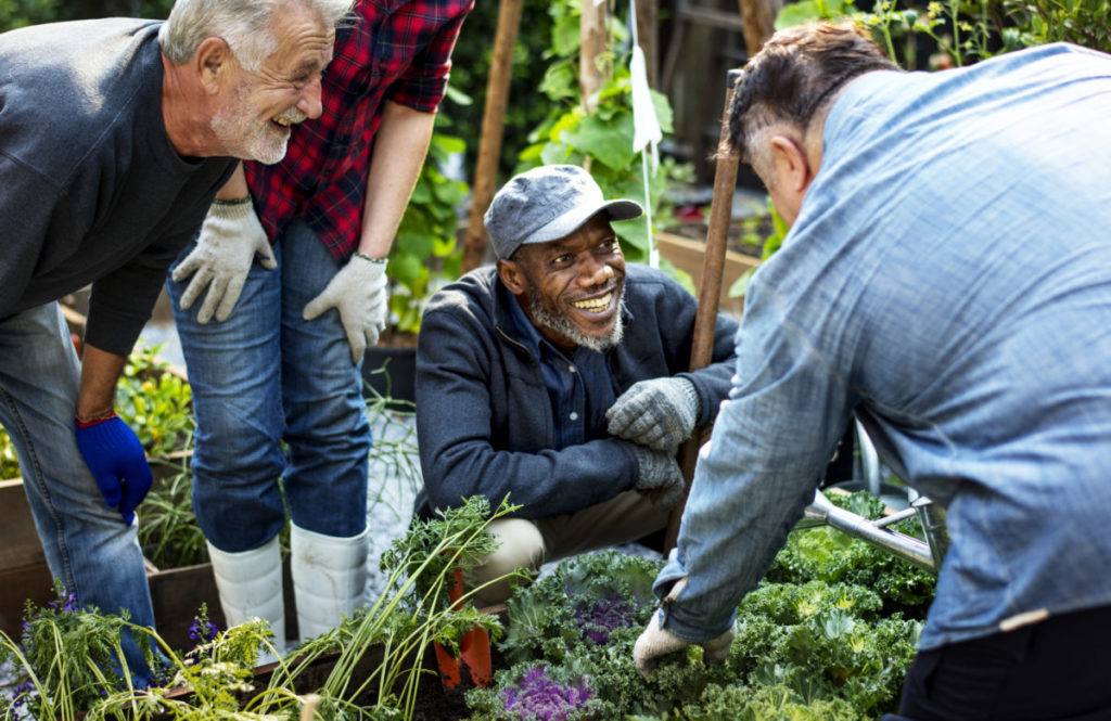 Group of people planting vegetable in greenhouse