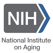 National Institute on Aging logo