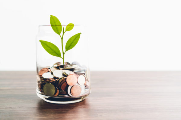 Coins in a bottle and the green tree